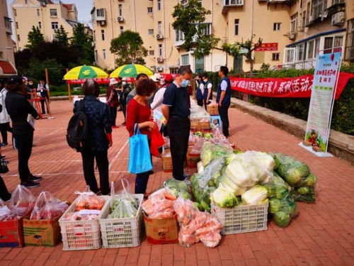 青島市南湛山社區(qū) 半小時售罄3000斤！新鮮蔬果進社區(qū)，助農惠企利民見實效